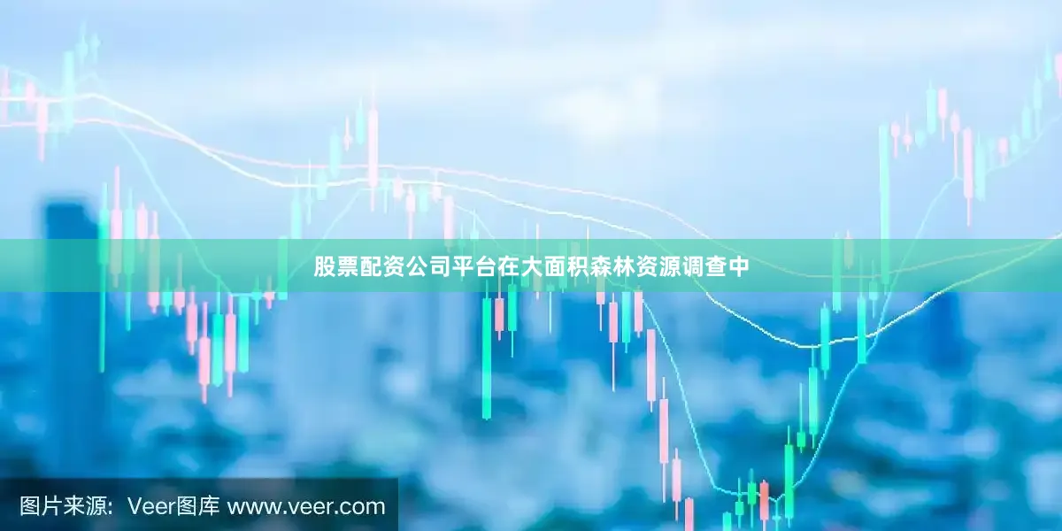 股票配资公司平台在大面积森林资源调查中